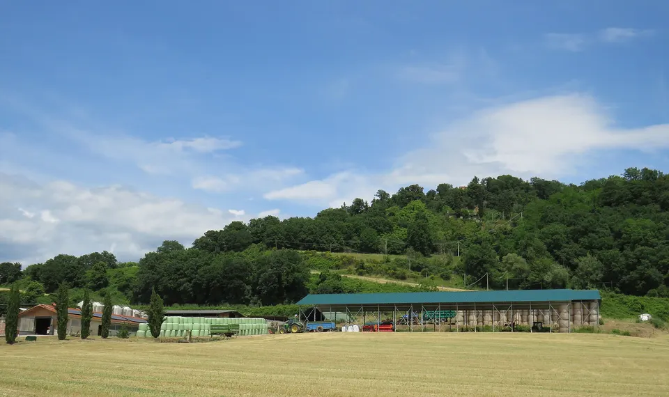 Fattorie didattiche del Mugello: quali visitare con i bambini e come prenotare