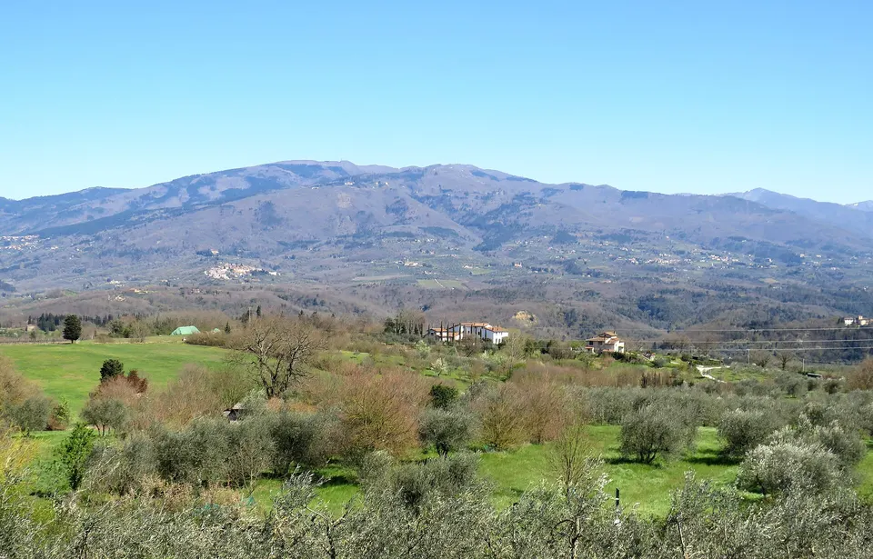 Reggello, lavori sulla SP 89 Bis "del Bombone": senso unico alternato dal 21 settembre