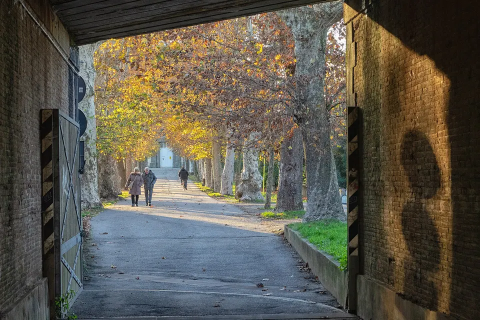 Montelupo Fiorentino, aperte le domande per gli albi di presidente e scrutatore di seggio