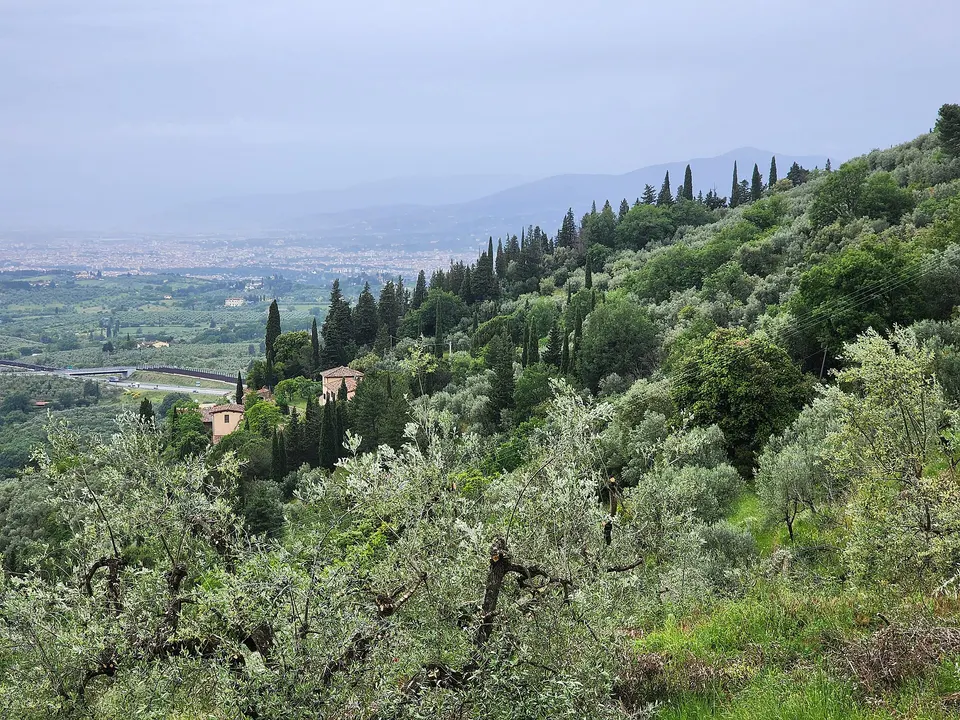 Bagno a Ripoli, mercatino solidale e laboratorio di scrittura per la Fondazione Zia Caterina