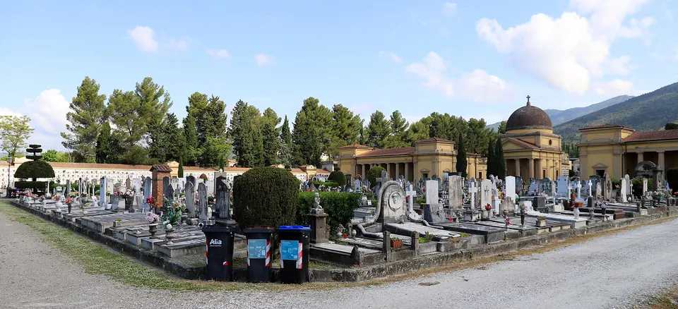 Sesto Fiorentino, al Cimitero Maggiore altro cipresso da abbattere
