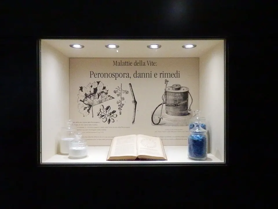 Museo della Vite e del Vino Montespertoli esposizioni