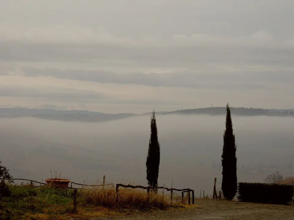 PAESAGGIO DEL CHIANTI