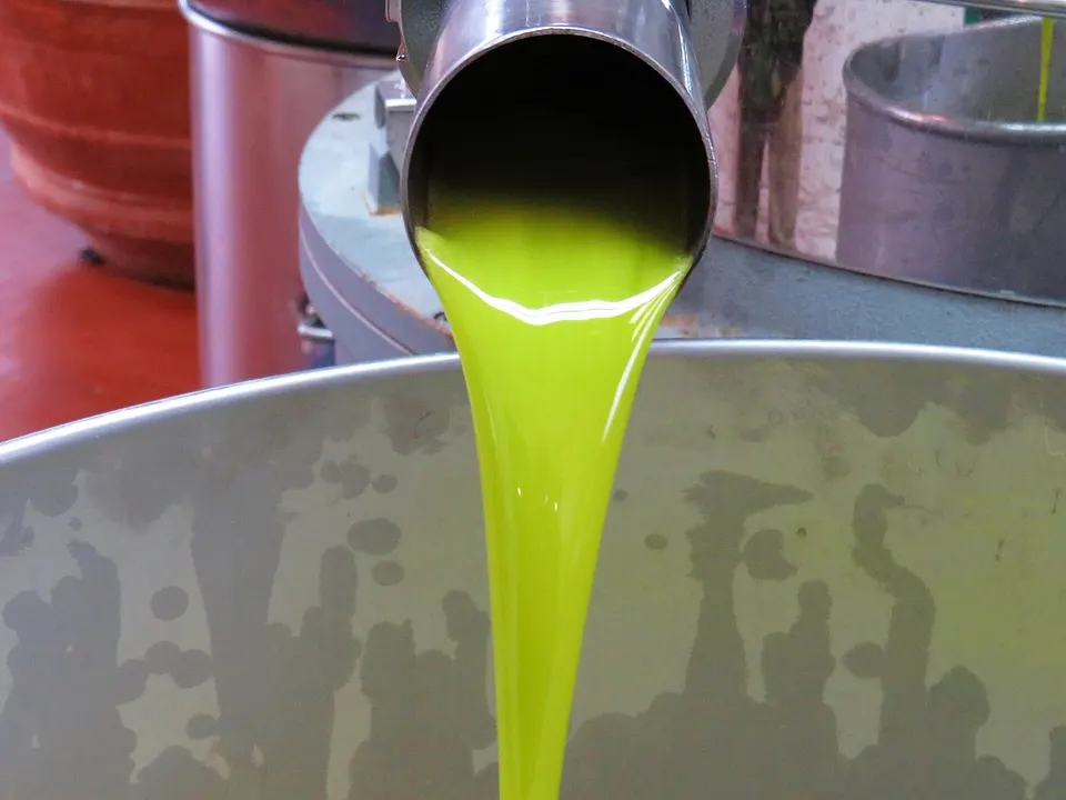 Tuscany (Italy) Oil leaving the mill