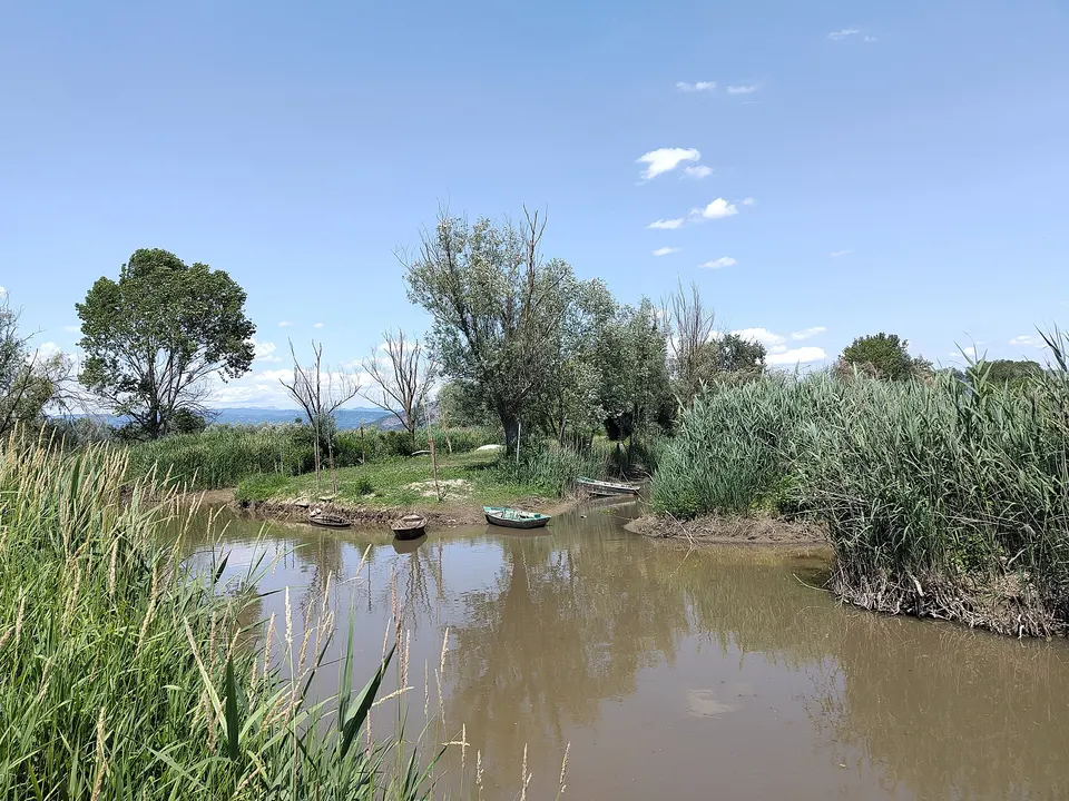 Padule di Fucecchio